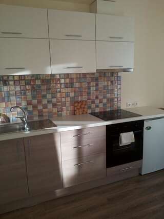 Апартаменты Centro apartamentai - Vingio apartamentai Вильнюс Апартаменты-студио-7