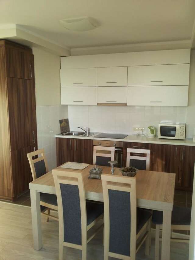 Апартаменты Centro apartamentai - Vingio apartamentai Вильнюс-21